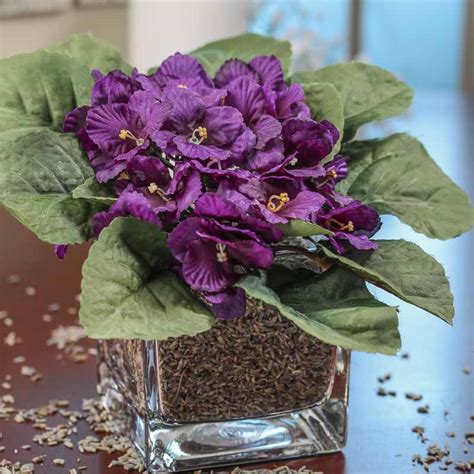 Purple Ruffled Artificial African Violet Bush Bushes Bouquets