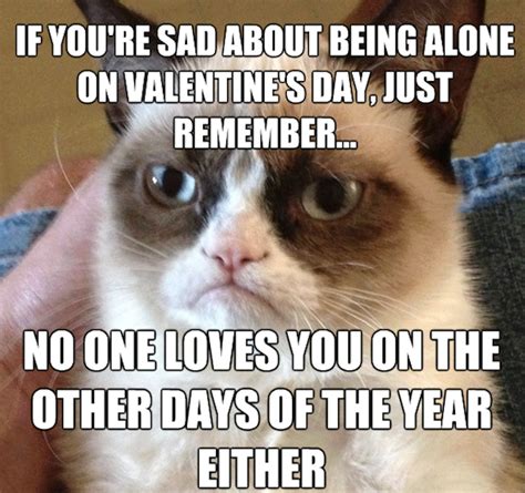 If Youre Sad About Being Alone On Valentines Day Pictures Photos