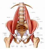 Images of Lumbar Core Muscles