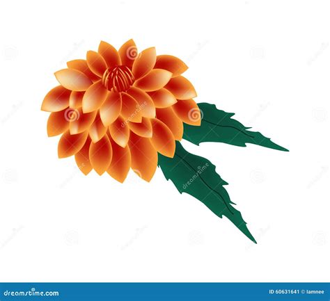 Orange Dahlia Flower On A White Background Stock Vector Illustration