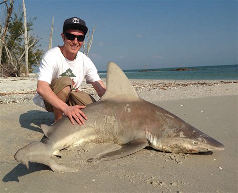 Best Shark Fishing Beach In Florida Hunterarchdall