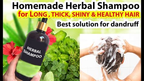 Homemade Herbal Shampoo बालों की समस्याओं का एक अनोखा घरेलू तेल Get
