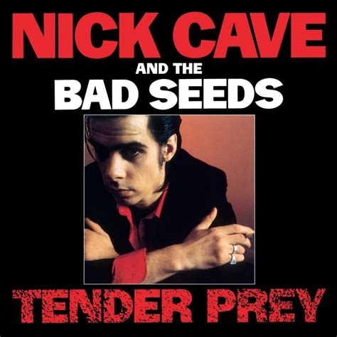 Nick Cave And The Bad Seeds Tender Prey Volume Dischi E Libri
