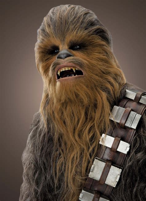 What Is Chewbacca 2023