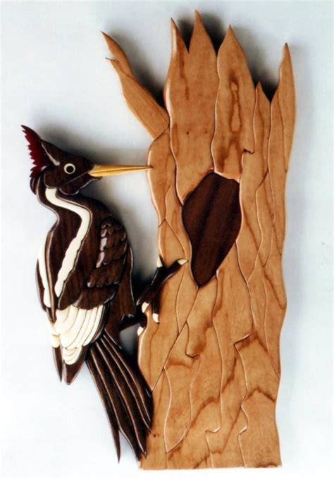 Ivory Billed Woodpecker Intarsia Pattern Intarsia Patterns