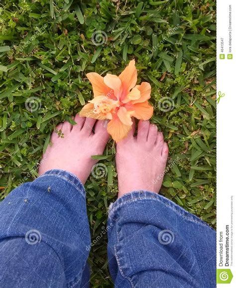 Flower And Feet Stock Image Image Of Grass Green Outside 46413547