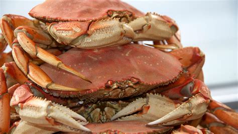 Will Dungeness Crab Season Delay Affect Reno Crab Lovers