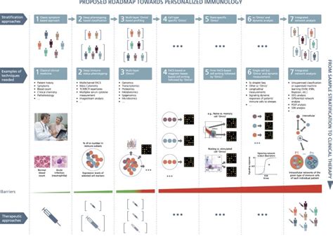 A Roadmap Towards Personalized Immunology Npj Systems Biology And