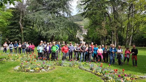 Marcher Ensemble Pour La Bonne Cause Apalib Service La Personne