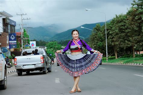 hmong-skirt-classic-style-hand-embroidered-from-chiang-rai-thailand-classic-style,-chiang