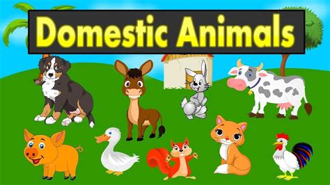 Pet Animals For Kids A Dictionary Useful To Memorize The Basic Lexis