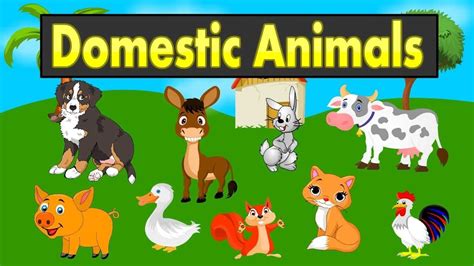 In most states it is illegal to keep wild animals in captivity, like. Domestic Animals names for kids | Farm Animals youtube ...