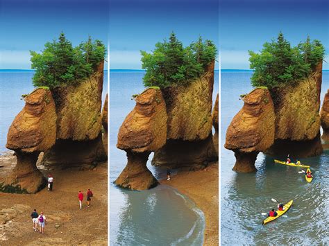 Finding Fundy Five New Reasons To Visit New Brunswicks Bay Of Fundy In 2018
