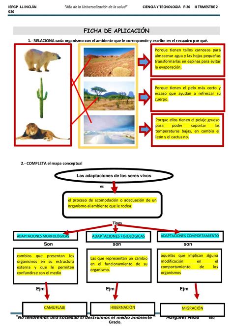 Ficha Adaptaciones De Los Seres Vivos Al Ecosistema Calameo Downloader