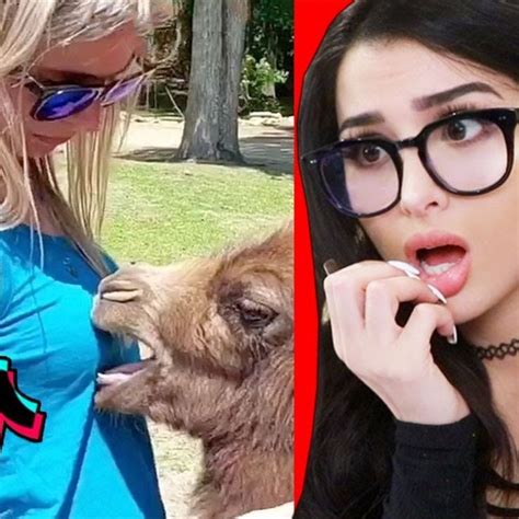 Tiktoks That Ended In Disaster In 2022 Sssniperwolf Disasters Square Glass