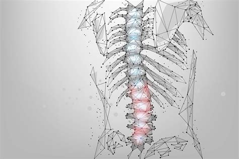 Is It Time To Have A Spine Specialist Evaluate Your Back Pain