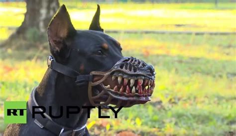 This Dog Halloween Costume Turns Your Pooch Into A Werewolf Scary