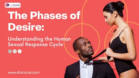 The Phases Of Desire Understanding The Human Sexual Response Cycle