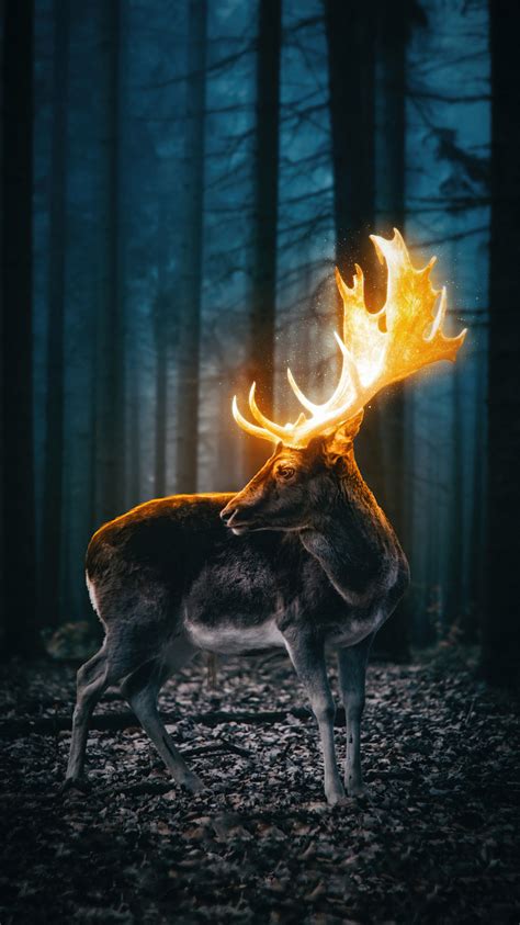 750x1334 Magical Reindeer Forest 5k Iphone 6 Iphone 6s Iphone 7 Hd 4k