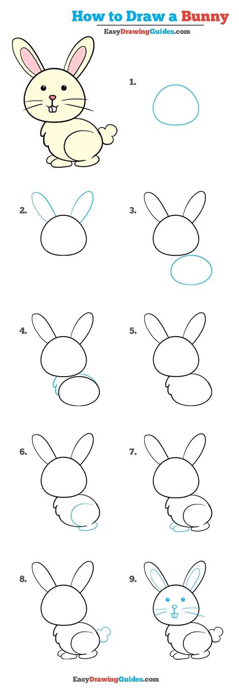 How To Draw A Bunny In A Few Easy Steps Easy Drawing Guides Easy