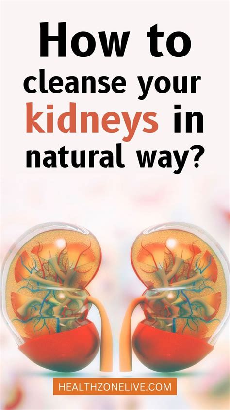 How To Cleanse Your Kidneys In Natural Way Health Info Health Kidney
