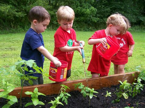A Childrens Garden Preschool How To Make A Vegetable Garden For Kids
