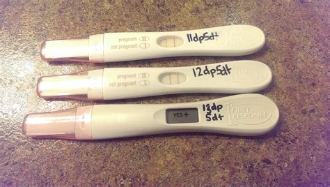 Results can also be sent by fax or mail by special request. Where Can I Get A Blood Pregnancy Test Without A Doctor S ...