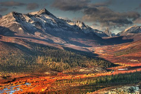 Autumn In The Yukon By Photo ©tan Yilmaz