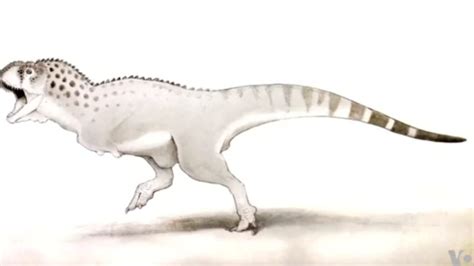 African Dinosaur Discovered In Morocco
