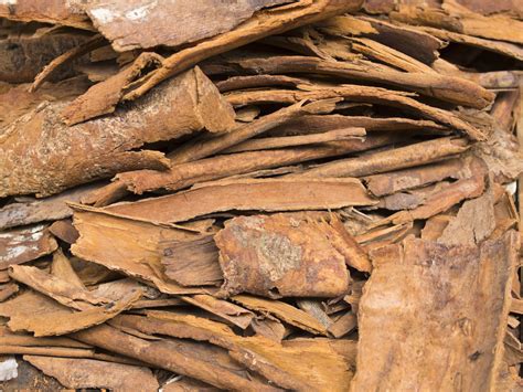 The Truth About Where Cinnamon Comes From Huffpost