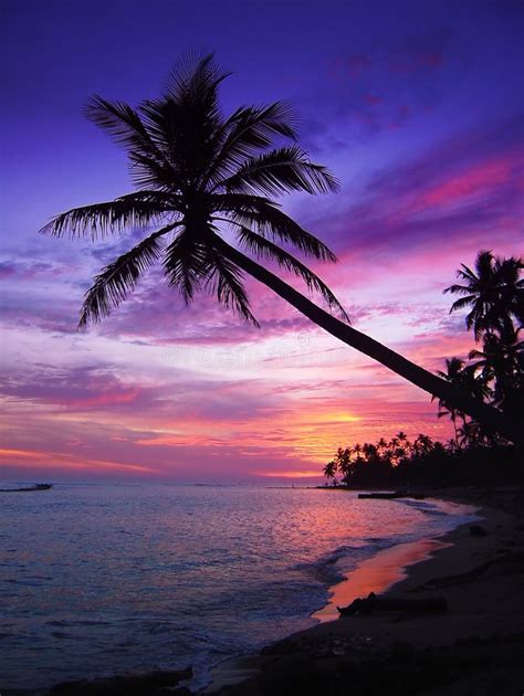 Beautiful Tropical Sunset Stock Image Image Of Landscape 1293579