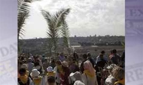 Christian Pilgrims Mark Palm Sunday World News Uk