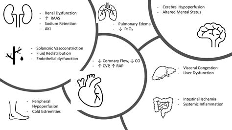 Figure 2 From Pathophysiology Based Management Of Acute Heart Failure