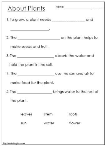 Worksheets for grade 1 evs army public school dhaula. Pin on Science/Health