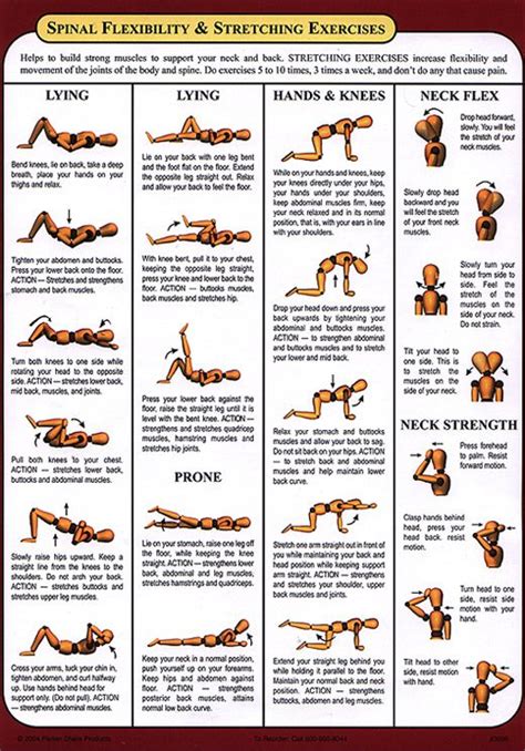 Pin On Chiropractic Exercises