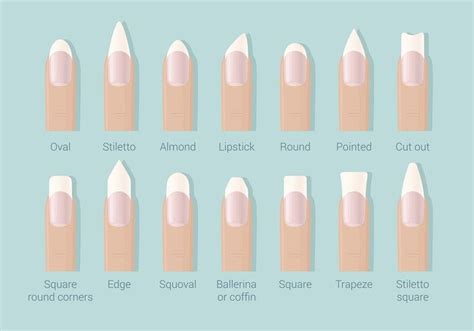 The Ultimate Guide To Nail Shapes Ask Acrylic Nail Shapes Nail