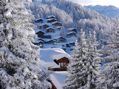 壁纸 谢恩 树木 冬季 阿尔卑斯山 美丽 景观 施威兹 绥靖 苏西亚 Ber 滑雪胜地 Alpen 冬天