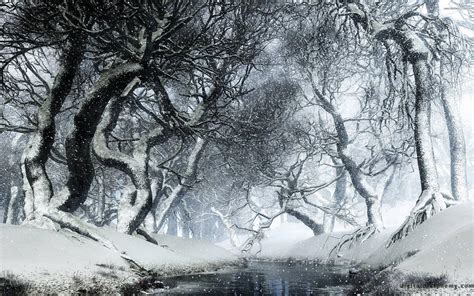 Snowy Forest Wallpapers Wallpaper Cave