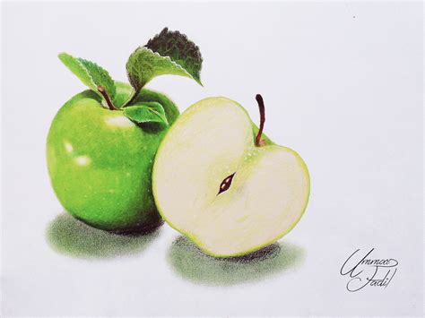 Drawing Fruits 2 Green Apple Colored Pencils By F A D I L On Deviantart