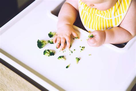 Von der who wird empfohlen, mindestens vier bis sechs monate voll zu stillen. Ab wann dürfen Babys Brokkoli essen? | Babyled Weaning