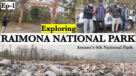 Exploring RAIMONA NATIONAL PARK Me And My Friends Assam S 6th National