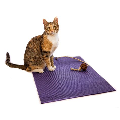 Yoga Cat Mat From Feline Yogi Hauspanther