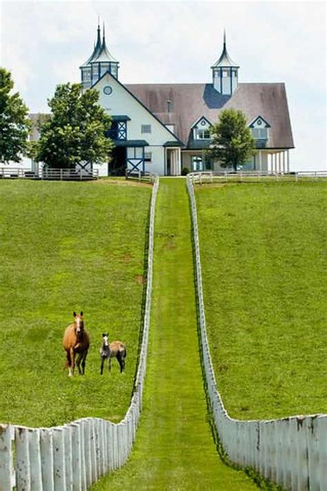Futurist Architecture Kentucky Horse Park Kentucky Horse Farms