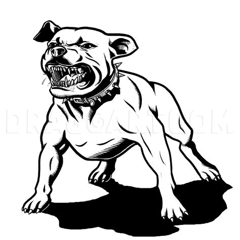 How To Draw A Pitbull Dog Coloring Page Trace Drawing Pitbull Art