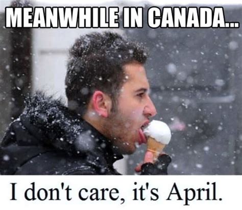 Best Meanwhile In Canada Memes