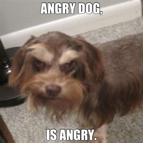 Angry Dog Is Angry Misc Quickmeme