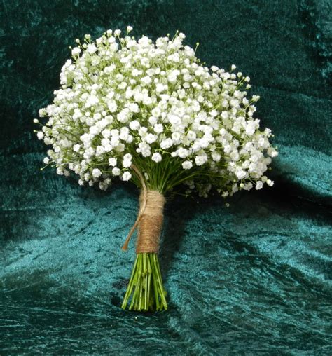 We did not find results for: Sandra's Flower Studio: Lavender and Gypsophila wedding ...