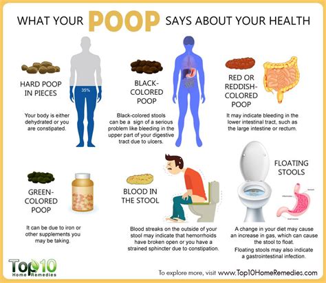 What Your Poop Can Tell You About Your Health Clever Journeys