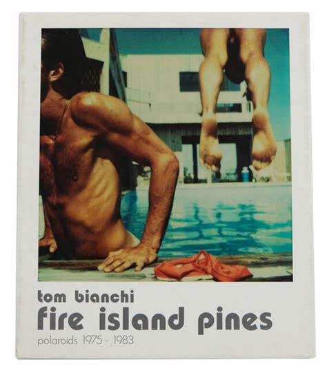 tom bianchi fire island pines polaroids 1975 1983 2013 artsy