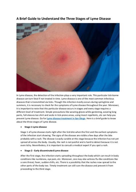 A Brief Guide To Understand The Three Stages Of Lyme Disease